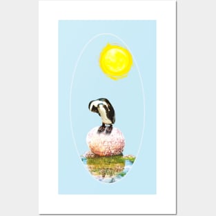 Napping Penguin in the Sun Posters and Art